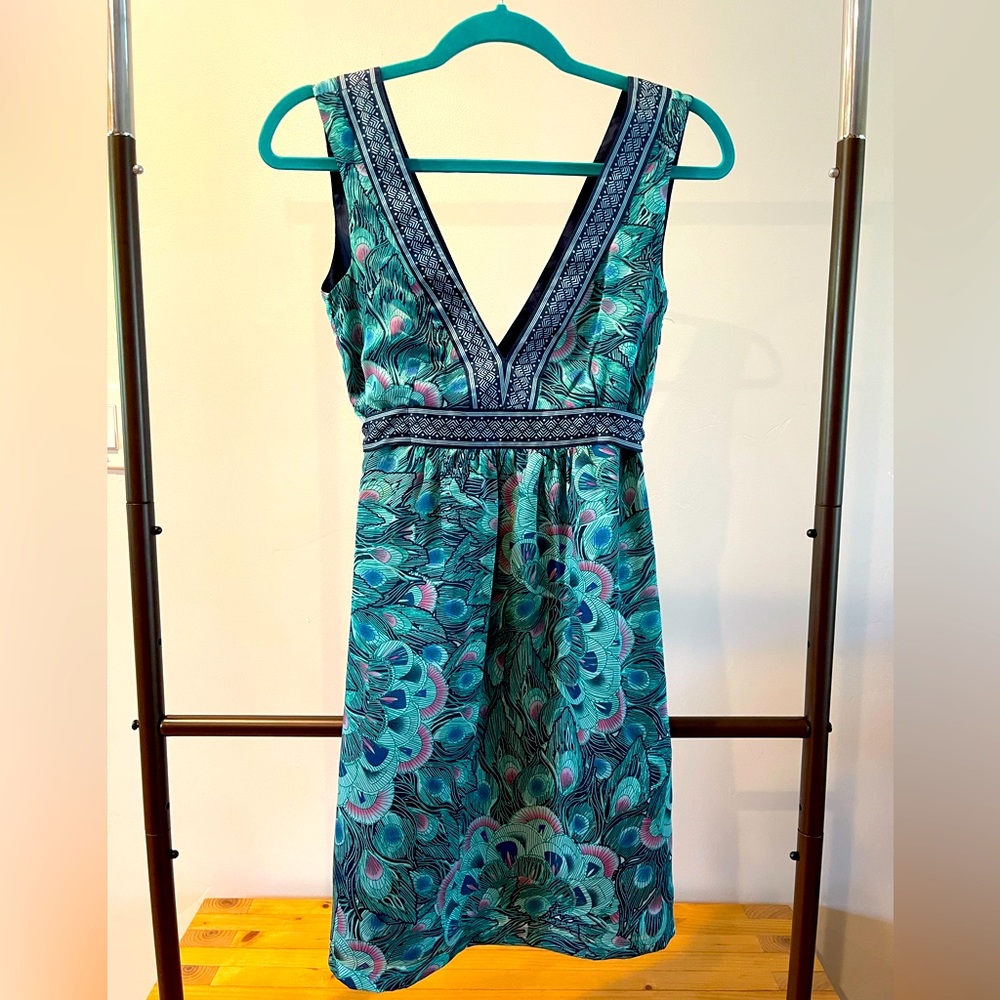 🦚 H&M Peacock and Paisley V neck dress (4)